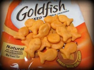 Can Dogs Eat Goldfish Crackers?